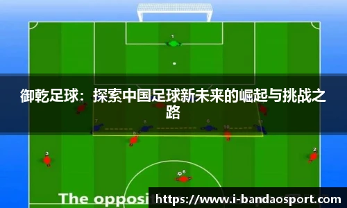 半岛体育APP